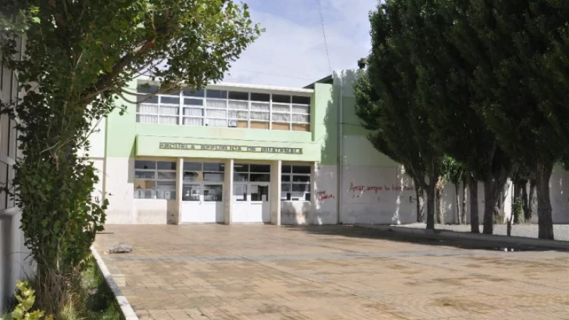 Insólito: tres hombres ebrios entraron en una escuela y agredieron a los alumnos