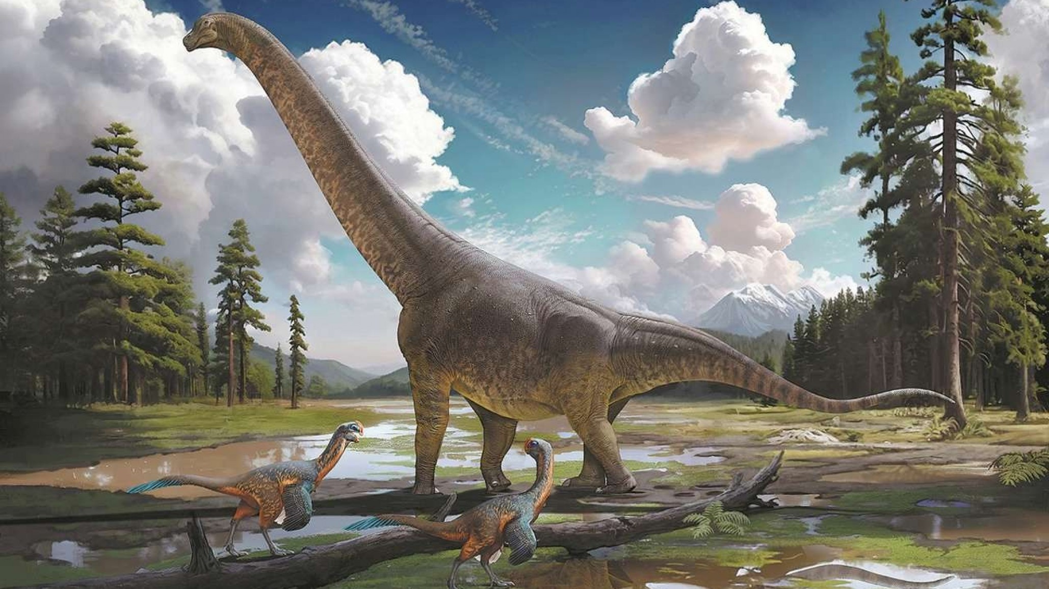 Descubrieron un "Titanosaurio" que vivió en la Patagonia hace 66 millones de años