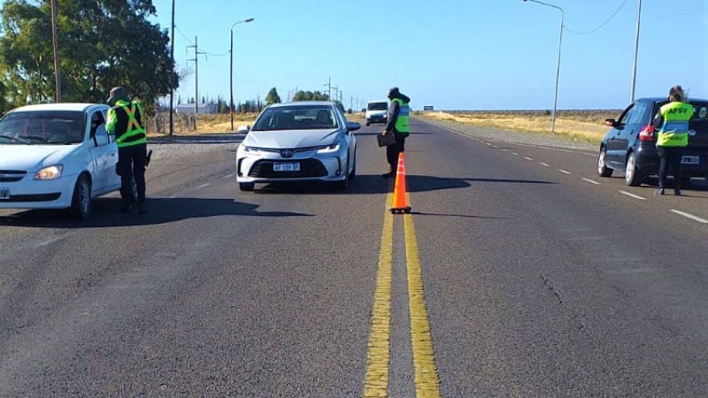 Le secuestraron el auto por conducir ebrio y se acostó a dormir en la ruta