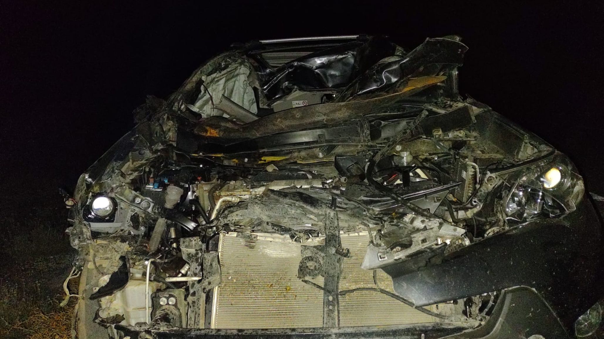 Accidente en Ruta Nacional 40: Una Hilux chocó contra dos caballos sueltos