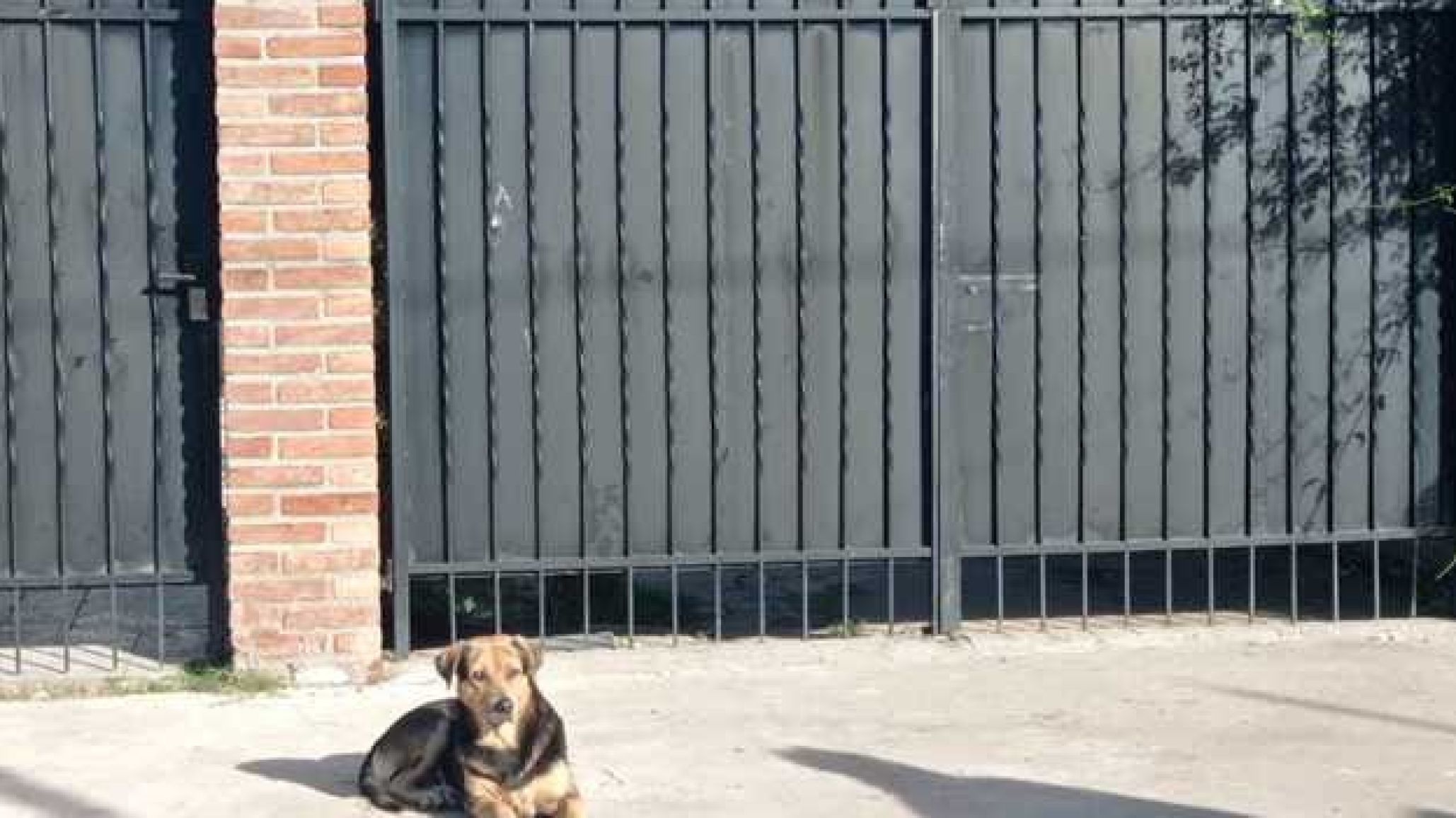 Balearon a un adolescente de 14 años mientras abría el portón de su casa