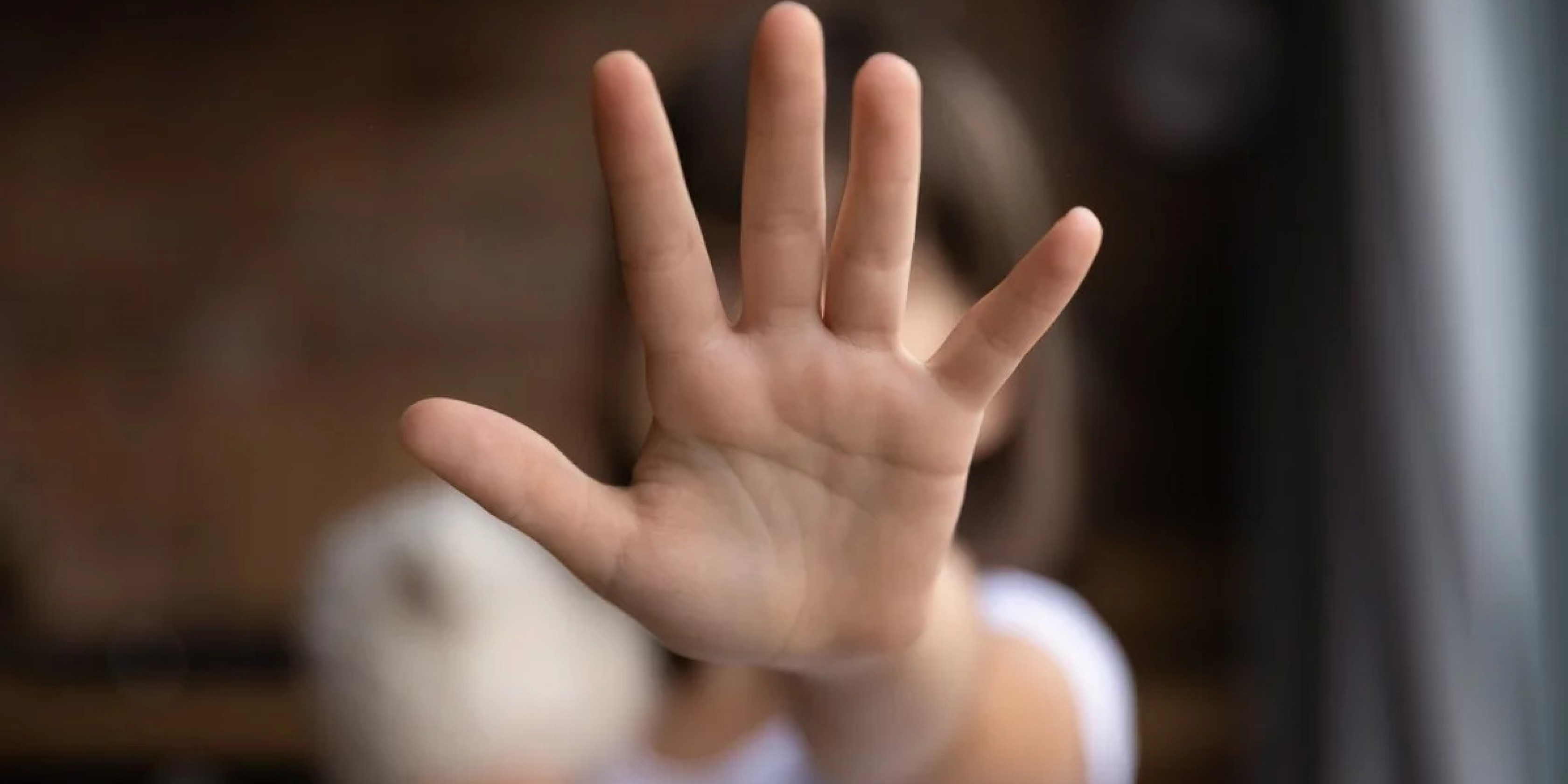 Rada Tilly dentro de un operativo internacional por pedofilia y abuso sexual infantil: Chubut tuvo 3 allanamientos en una causa con 26 detenidos en el país