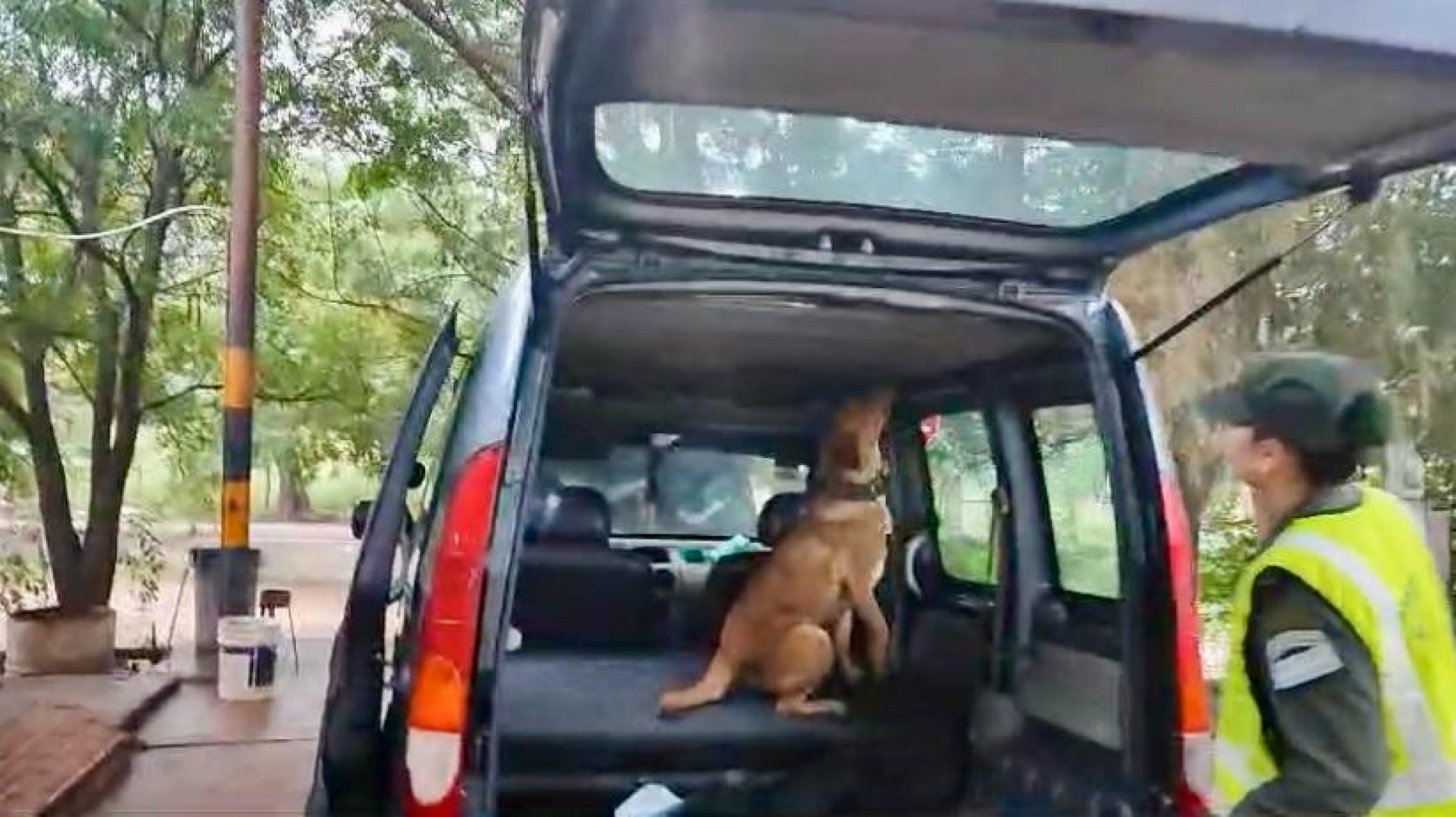 Gendarmería halló más de 64 kilos de cocaína escondidos en el techo de un vehículo