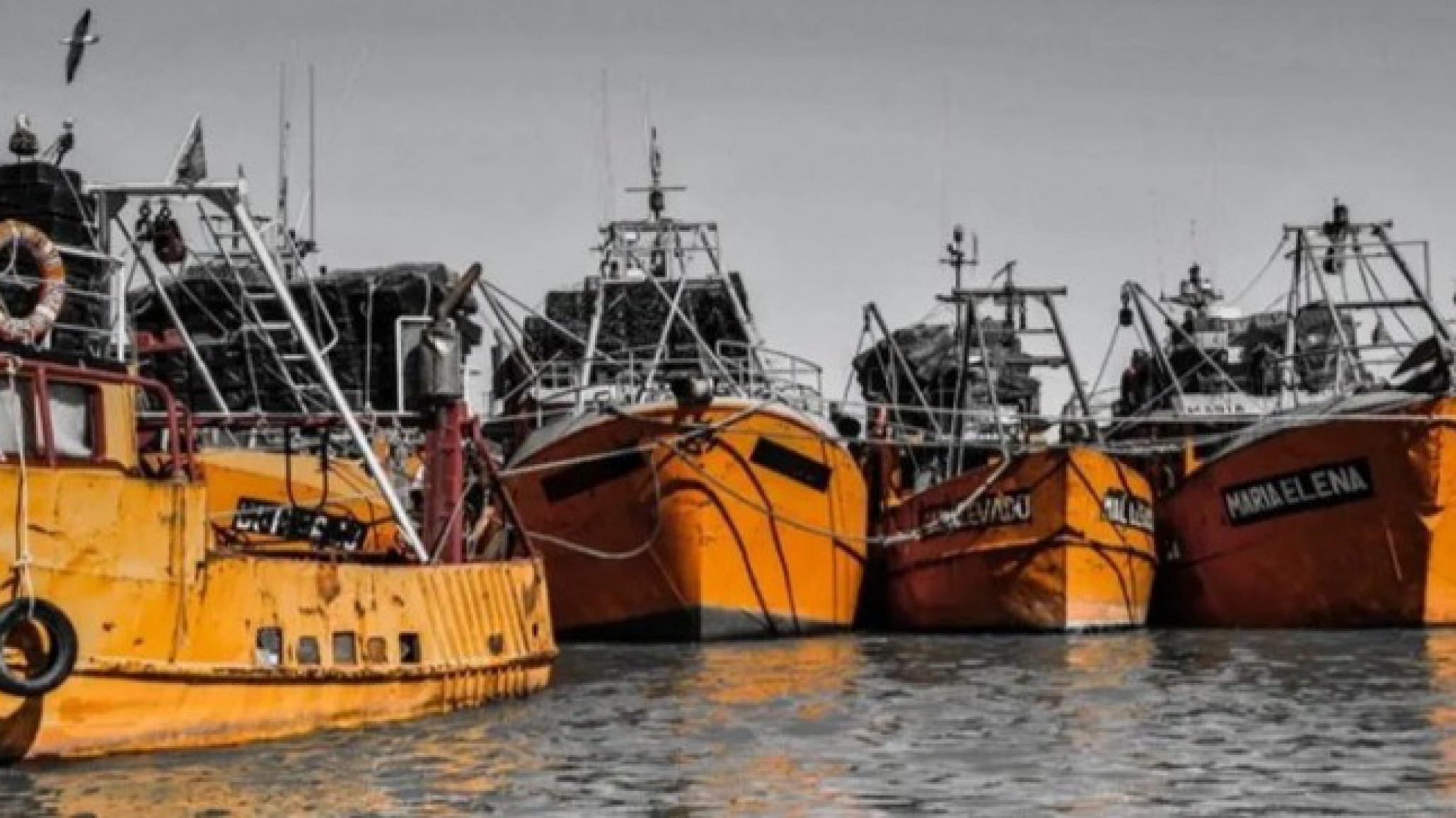 A los paros de aceiteros y trabajadores del SENASA se suma la medida de la actividad marítima