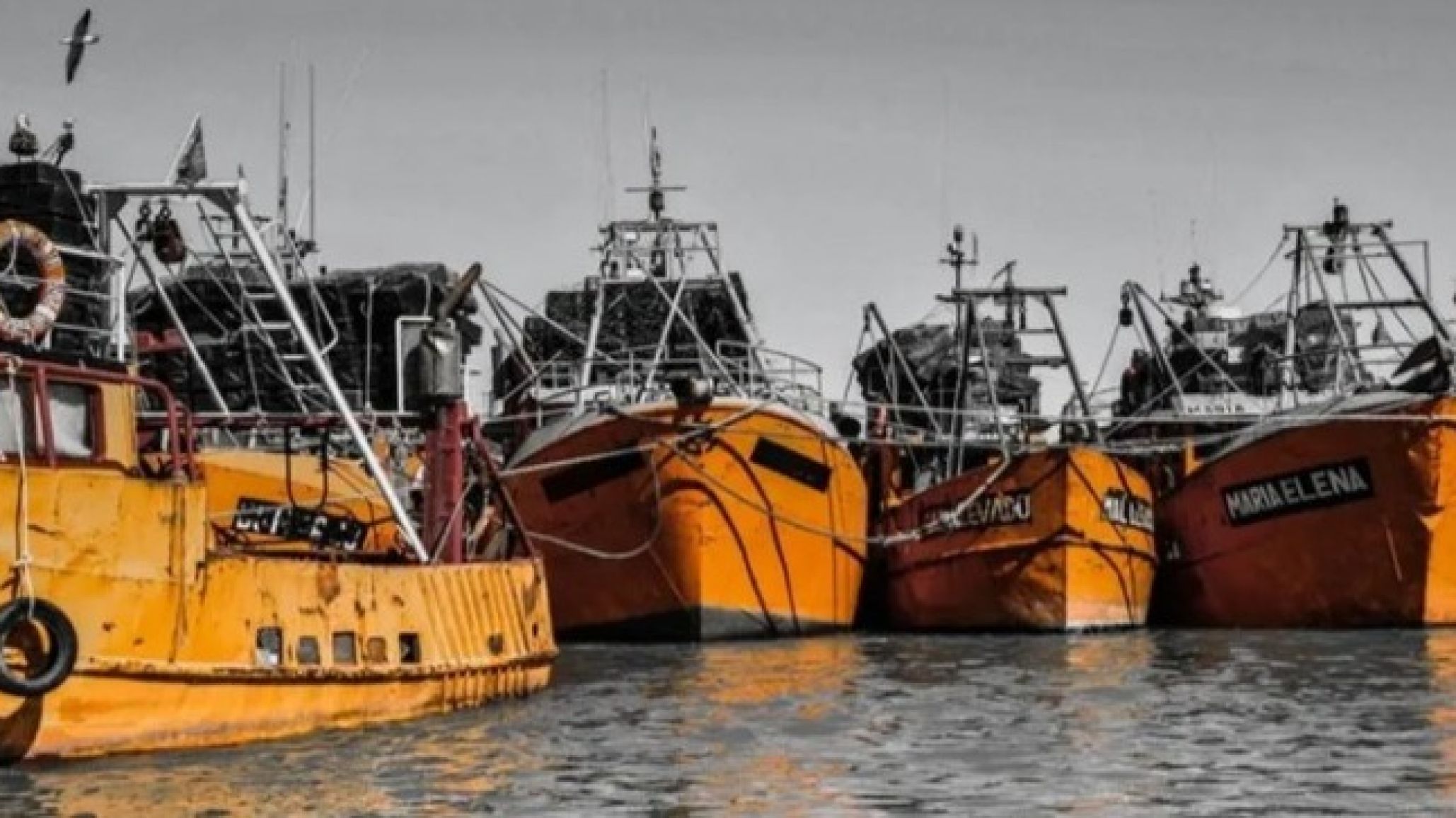 A los paros de aceiteros y trabajadores del SENASA se suma la medida de la actividad marítima