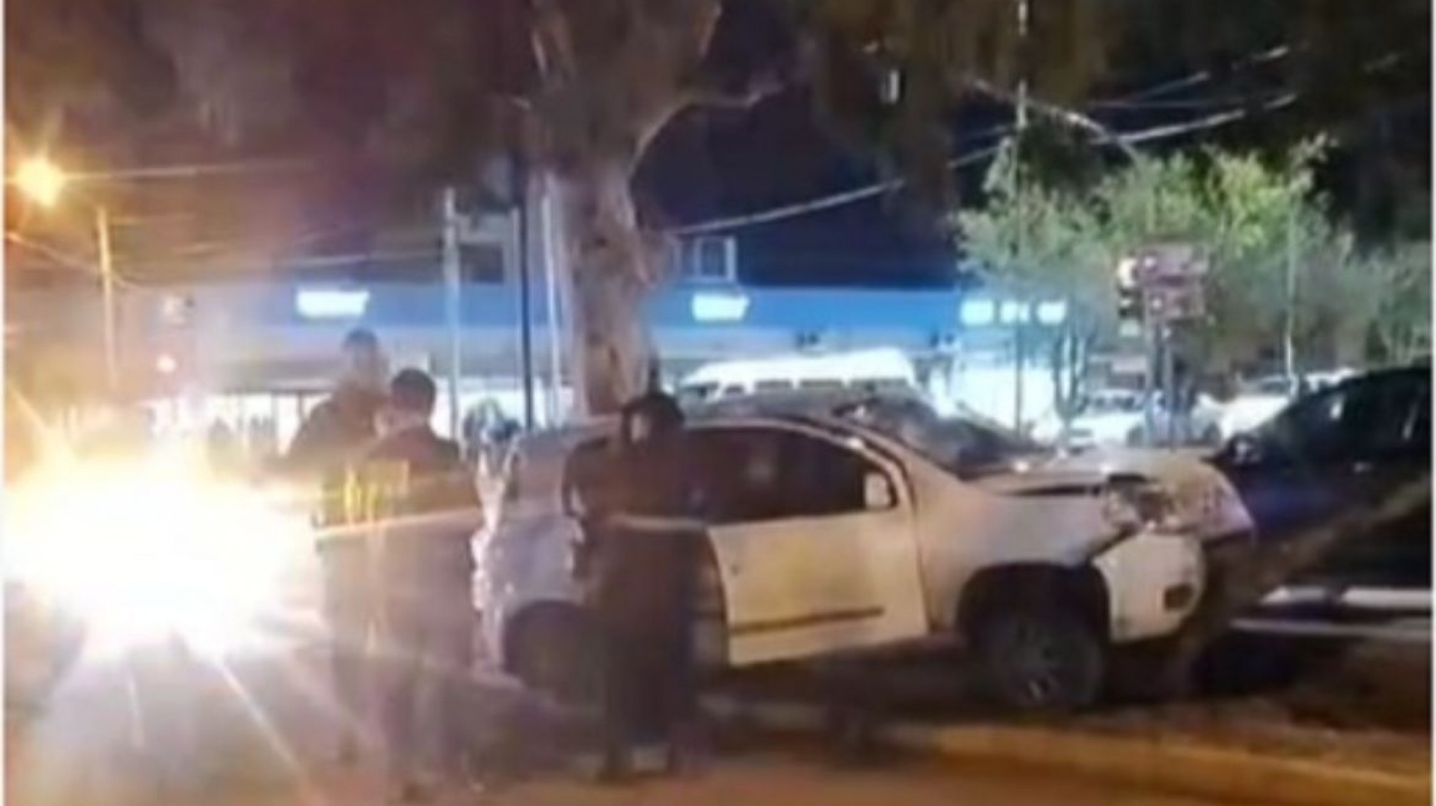 Perdió el control y chocó contra un árbol