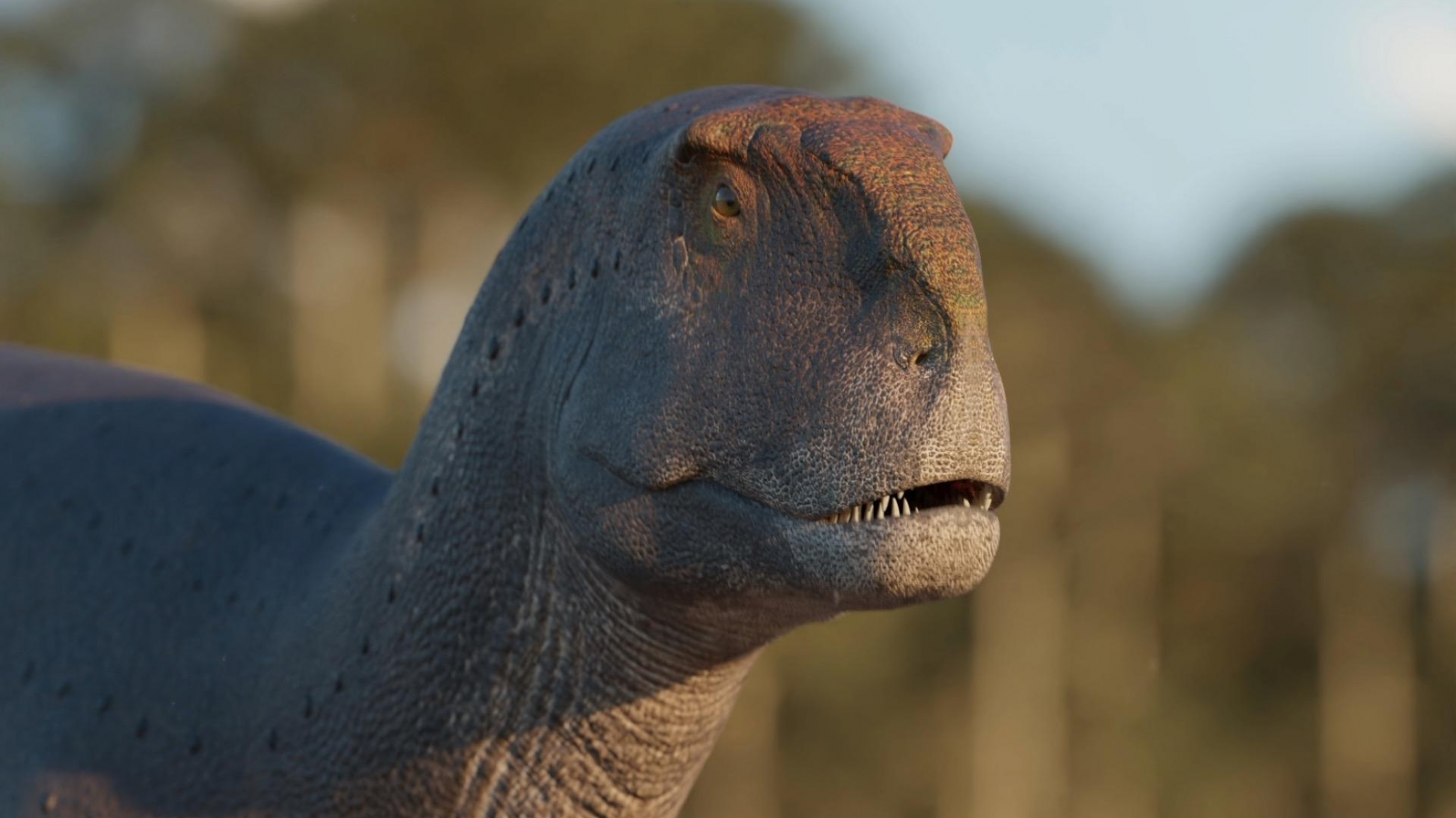 Descubrieron un nuevo dinosaurio carnívoro en la provincia de Chubut