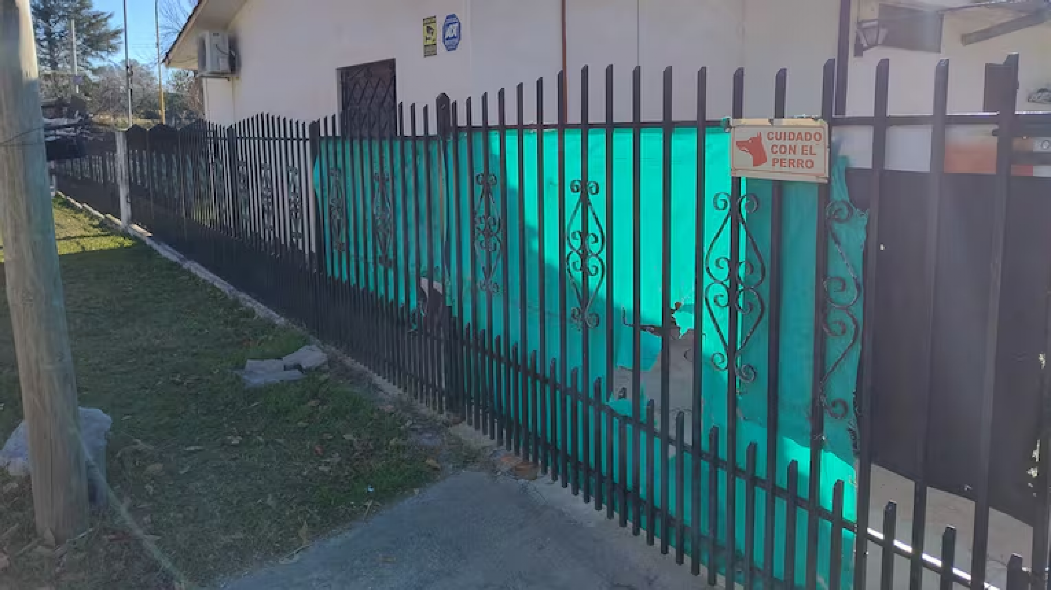 Ladrón fue atacado por dos perros pitbull y se encuentra en grave estado