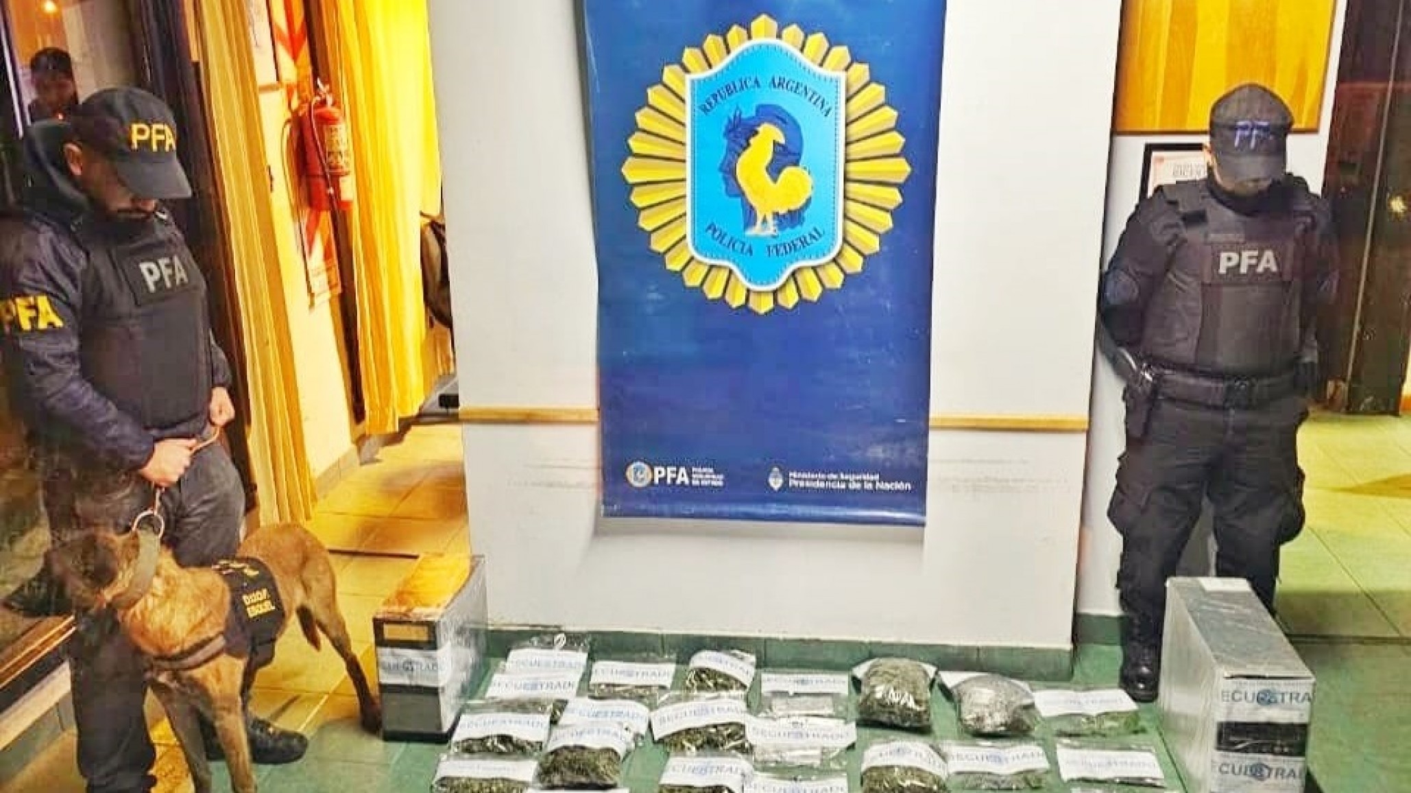 Detuvieron a un hombre por la distribución de pornografía infantil