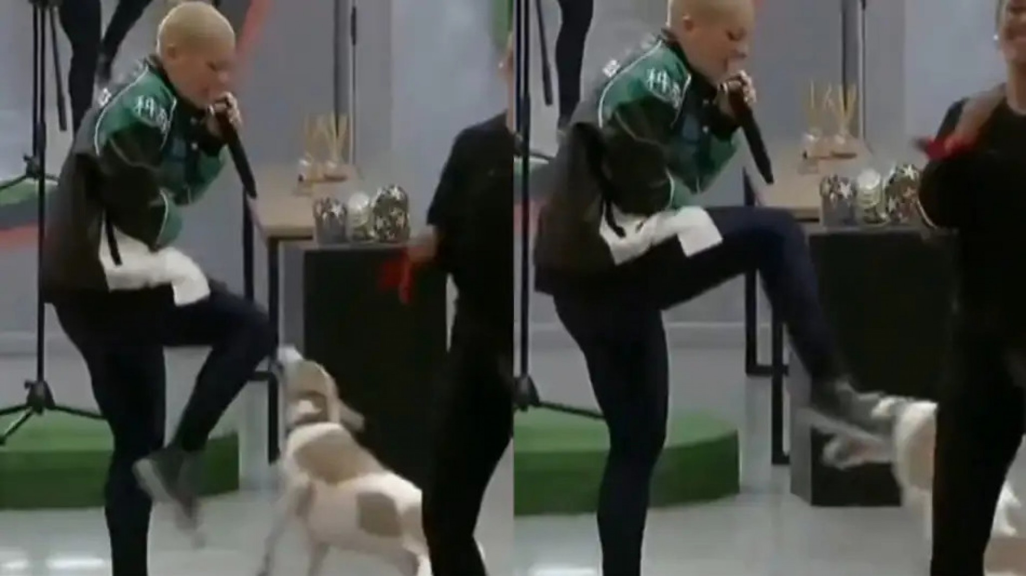 Gran Hermano: rescatistas de Arturo organizaron una marcha para sacar al perro del reality