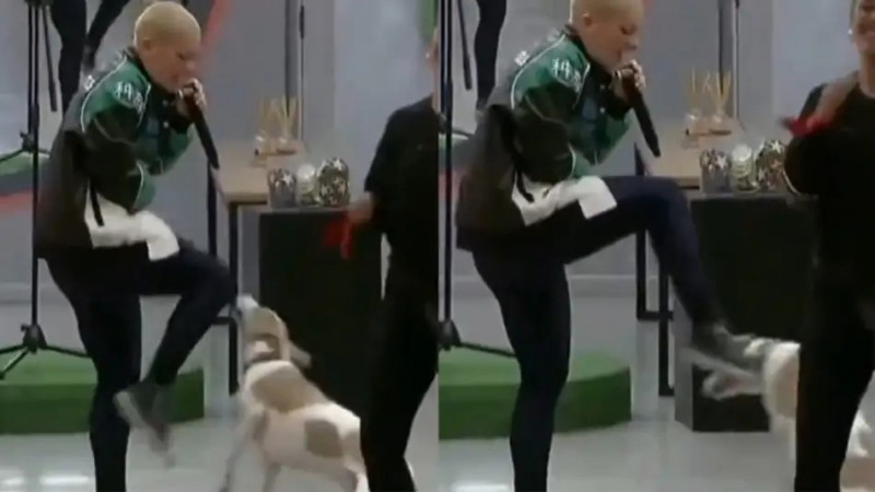 Gran Hermano: rescatistas de Arturo organizaron una marcha para sacar al perro del reality
