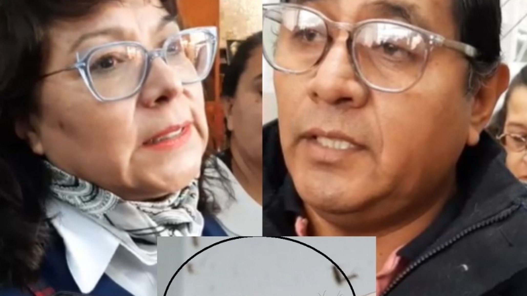 Escuela N°23 invadida por hormigas: "No tenemos un seguro contra picaduras, hay que cambiar el piso"