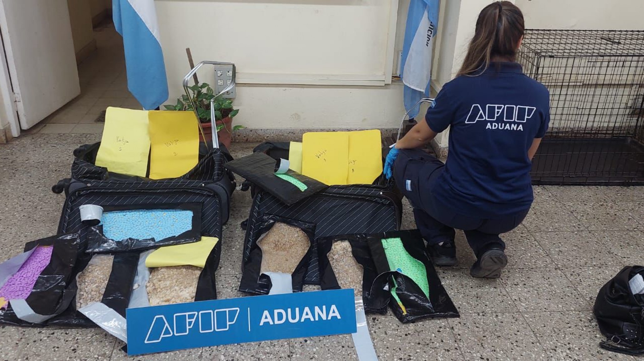 Una mujer fue detenida por tratar de ingresar más de 10 kilos de crack y casi 10 mil pastillas de éxtasis al país