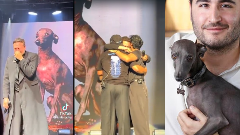 El vocalista de Reik rindió un homenaje a su perro fallecido y quebró en llanto