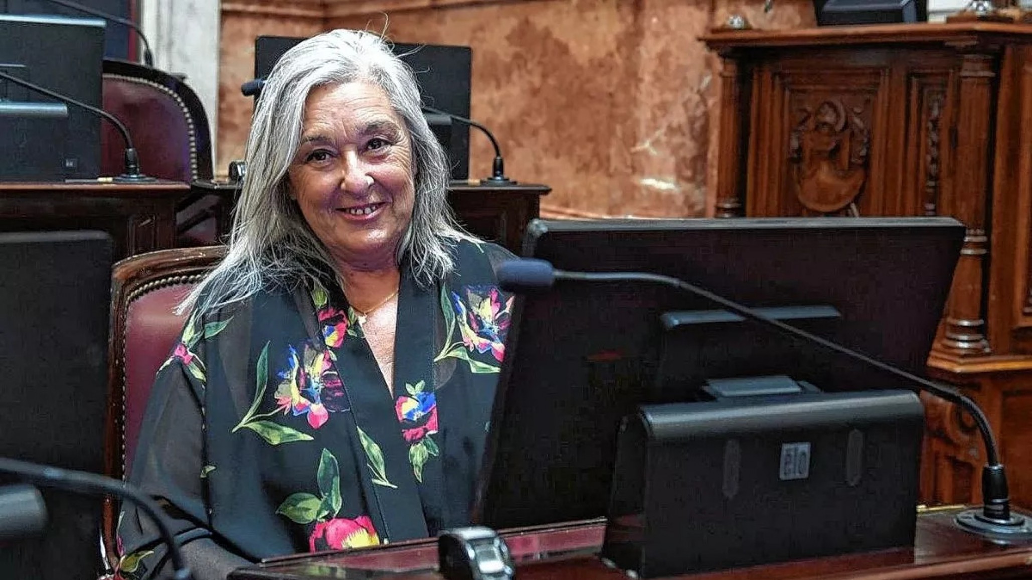 Terenzi sobre la nueva fórmula jubilatoria: "Cuando la ley llegue al Senado la vamos a acompañar"