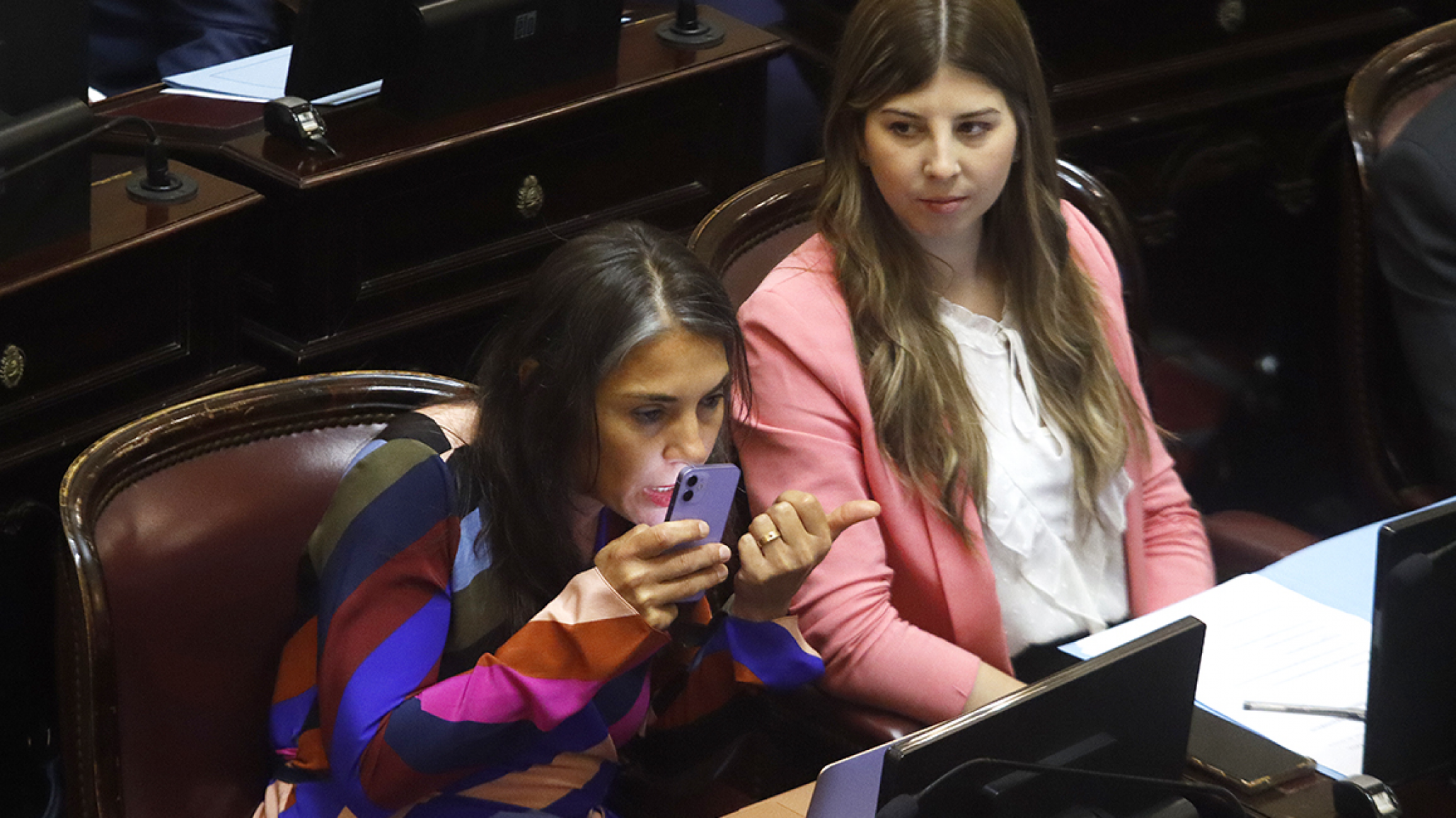 Escándalo a horas del tratamiento de la Ley de Bases: El gobierno le ofreció una embajada a la senadora patagónica Lucila Crexell