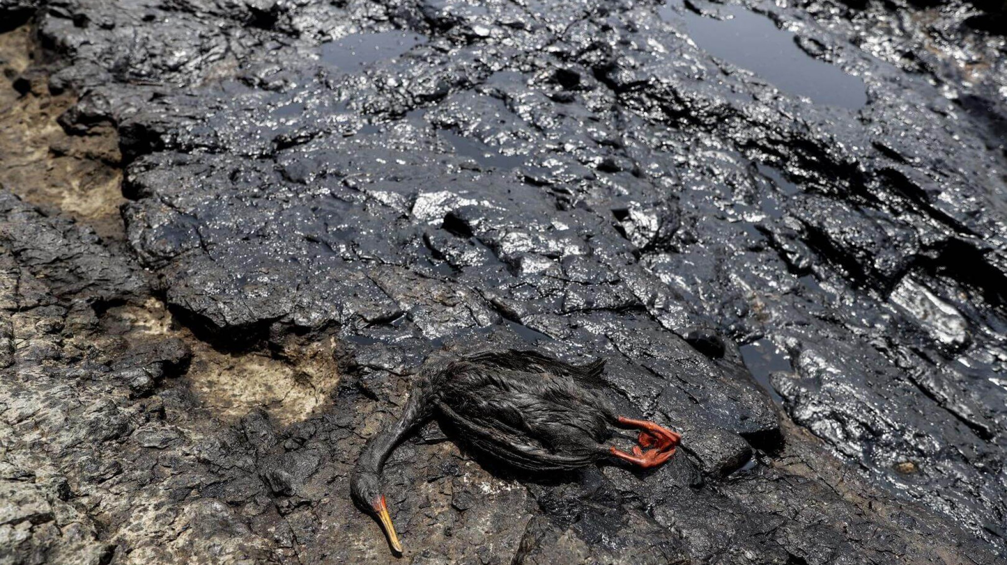 Qué multas establece la ordenanza de incidentes ambientales