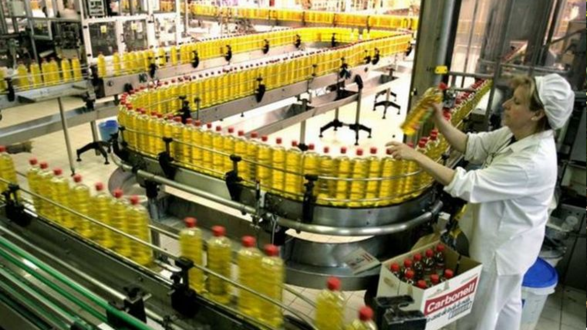 Aceiteros paran en todo el pa韘 en repudio a la Ley Bases y el Paquete Fiscal