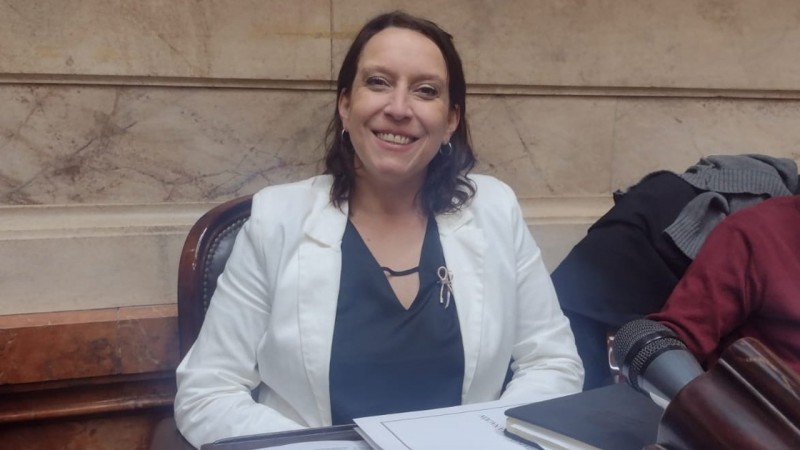 Diputada Alianiello sobre la sanción de la Ley Bases: "Se aprobó con ciertas irregularidades"