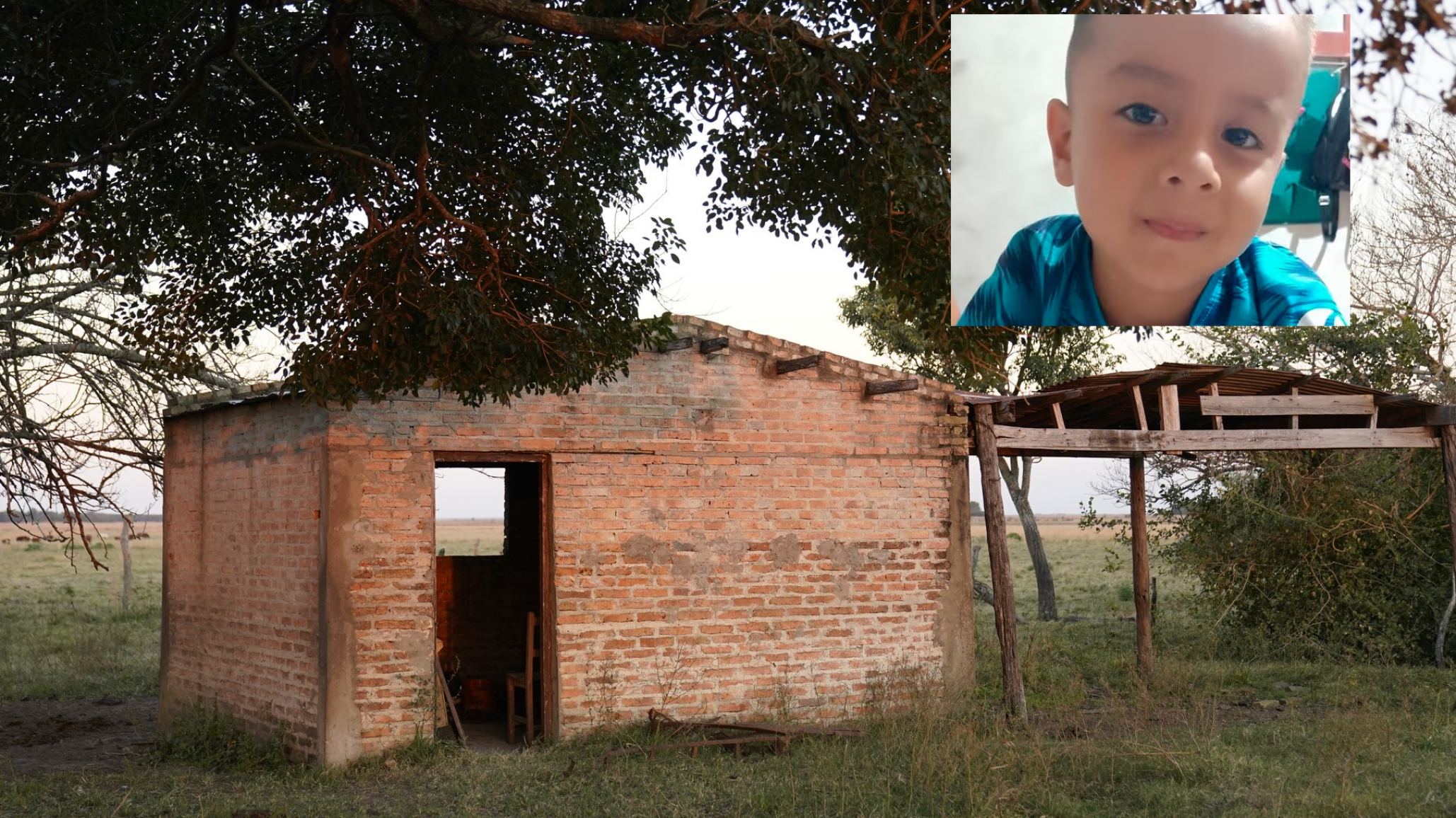 Periodista reveló detalles escalofriantes sobre una red de tráfico de niños en el caso Loan: "en esto están metidos todos"