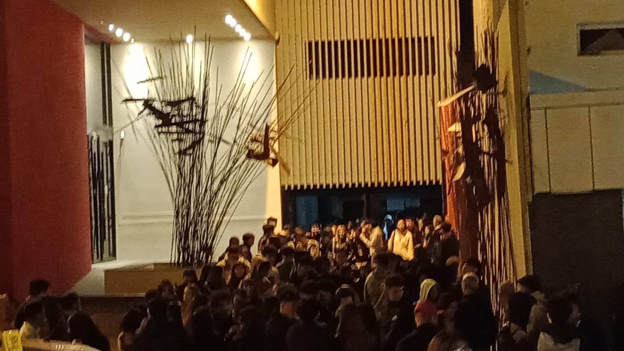 50 menores quisieron entrar a un boliche con una aplicación falsa de Mi Argentina