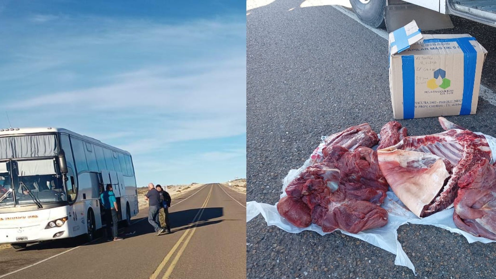 Guanacos v韈timas de caza ilegal: Decomisaron carne en un control vehicular en Ruta 3