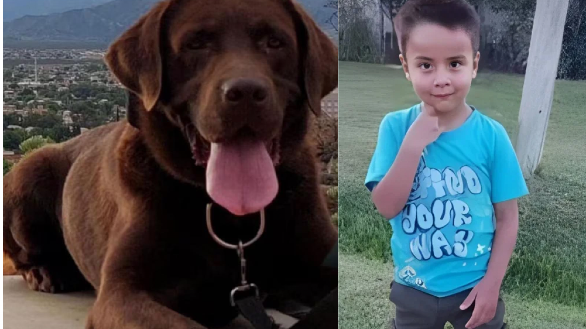 Fallece Nerón, el perro rastreador que participó en la búsqueda de Loan