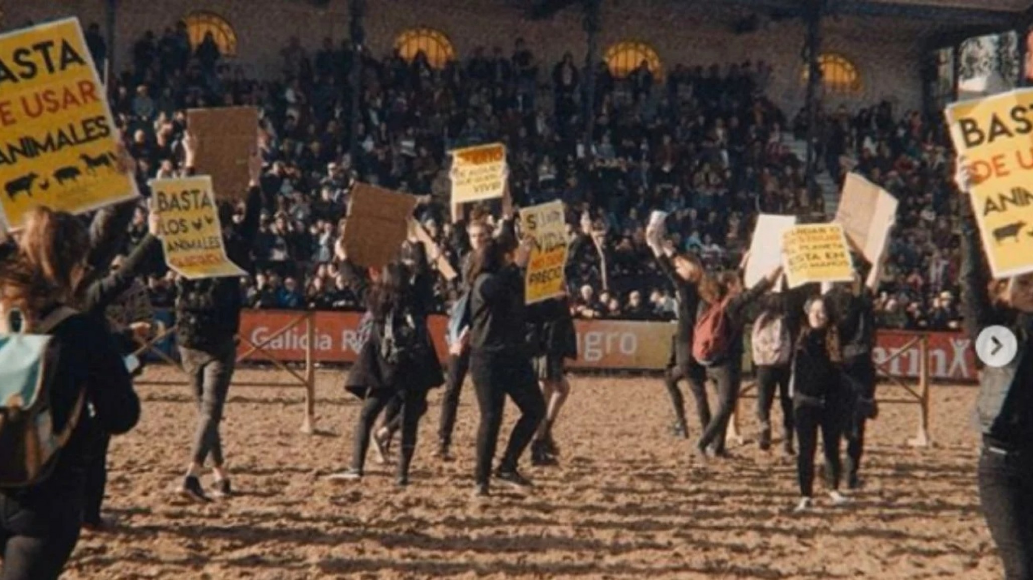 Veganos irrumpieron en La Rural durante concurso de equinos