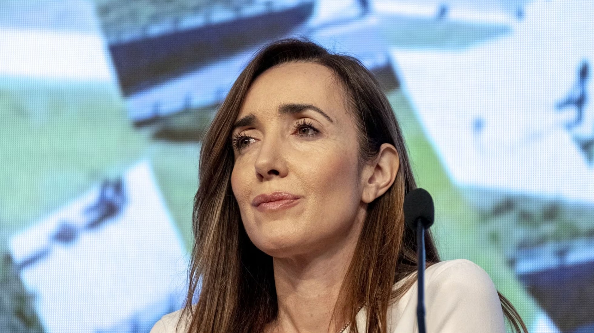 Victoria Villarruel: "El kirchnerismo proyecta en mí sus deseos más oscuros"