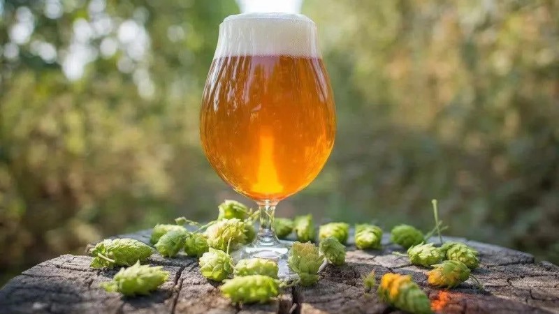 Un brindis por la historia: Este jueves se celebra el IPA Day