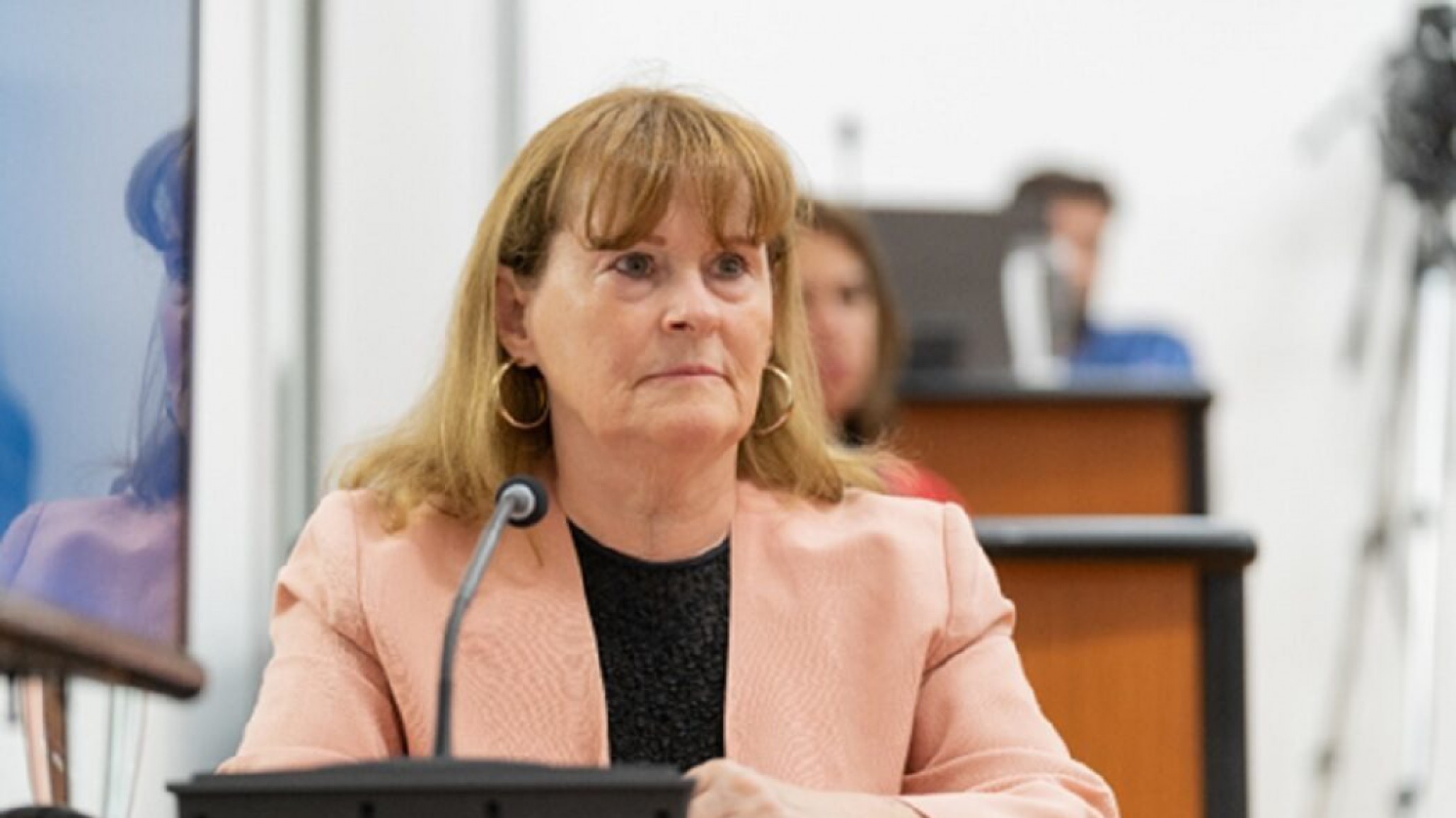 Digna Hernando aseguró que "el uso combinado de transporte marítimo y terrestre puede reducir costos y mejorar la distribución"