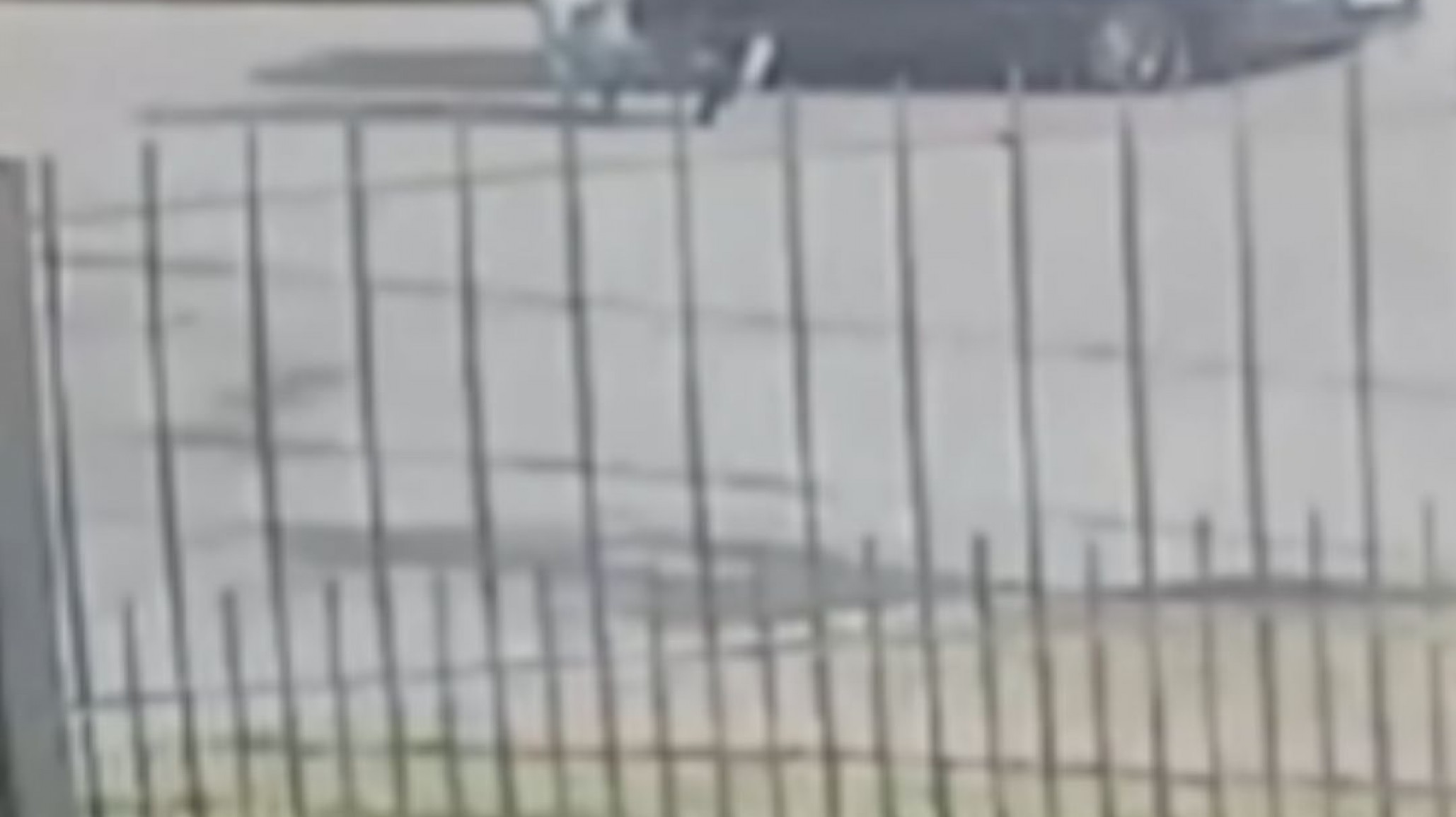 Un femicidio en plena vía pública y sin que nadie intervenga quedó filmado: el femicida está prófugo