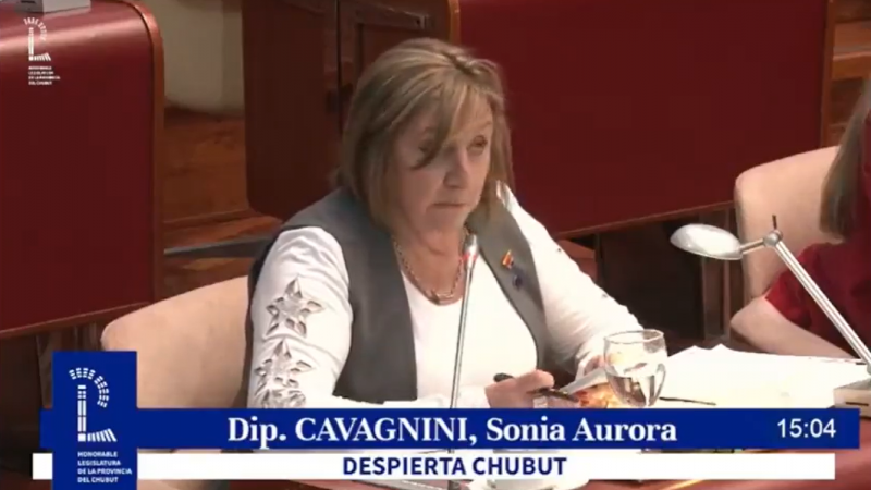 El derrape de una diputada de Torres: "Nuestros medios..."