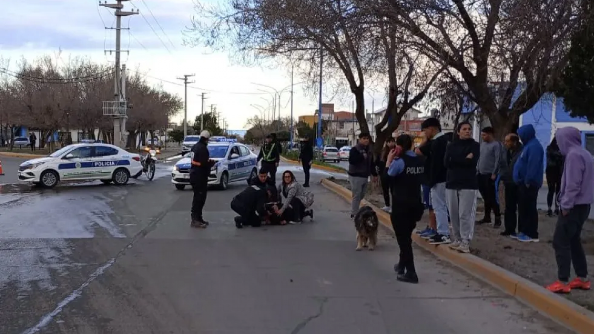 Peatón de 69 años lucha por su vida tras ser atropellado en el barrio José Fuchs