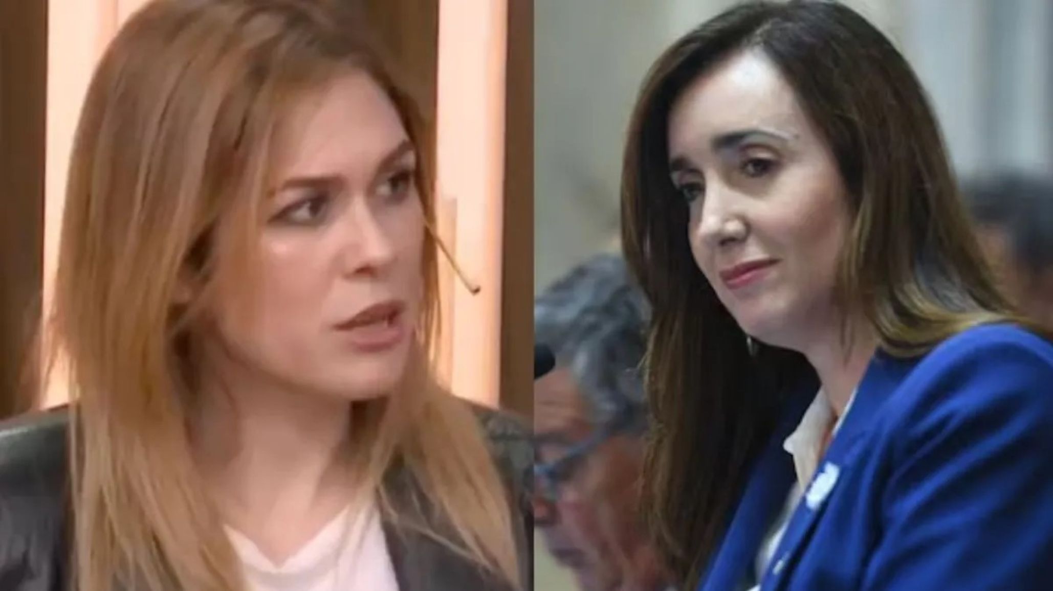 Lilia Lemoine: "Hay una maldición con los vicepresidentes"