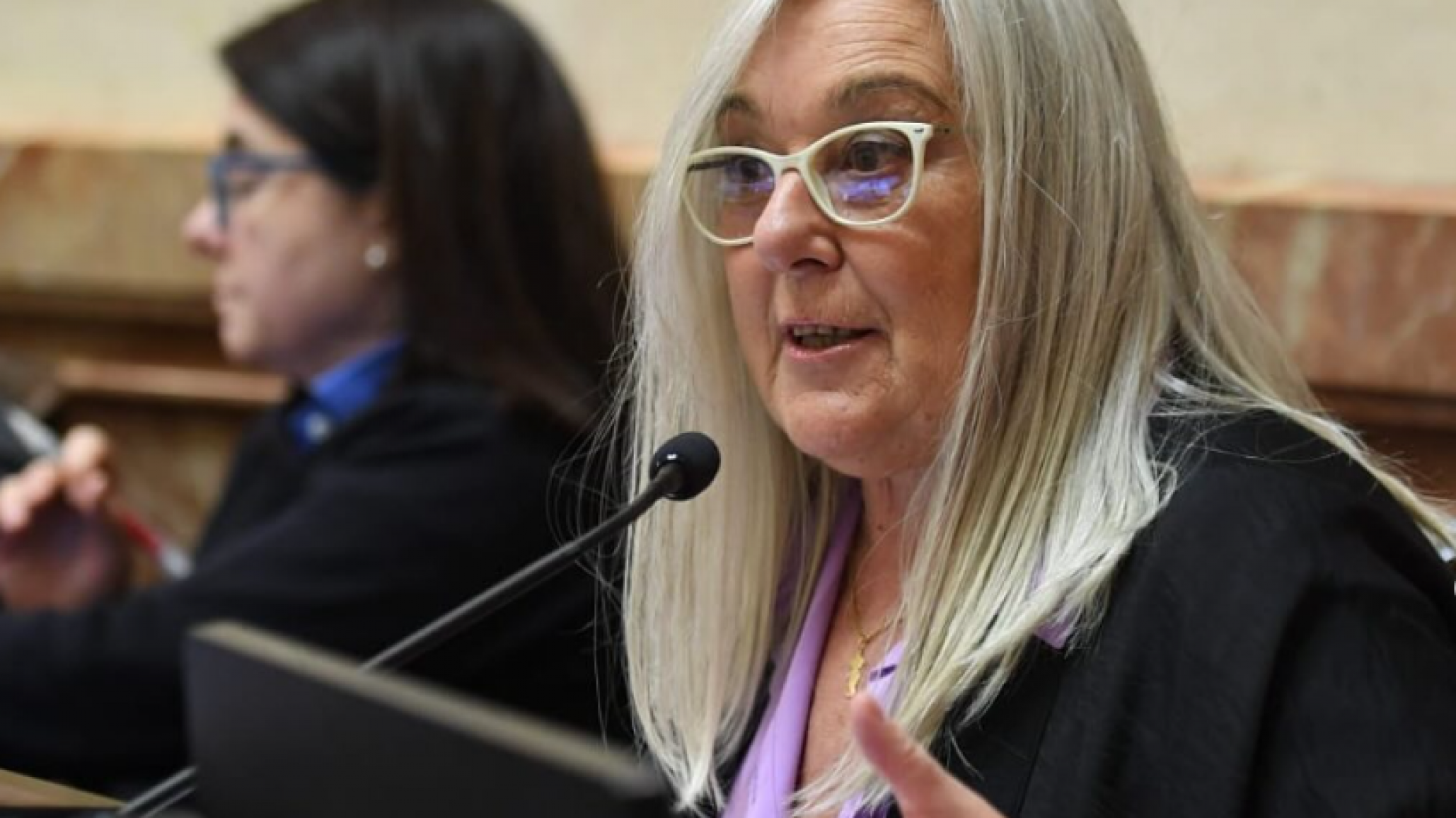 Terenzi "Entraríamos en una especie de juego perverso si el Congreso sanciona leyes y el Poder Ejecutivo las veta"