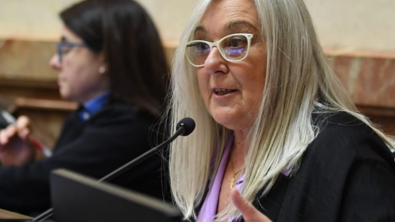 Terenzi "Entraríamos en una especie de juego perverso si el Congreso sanciona leyes y el Poder Ejecutivo las veta"