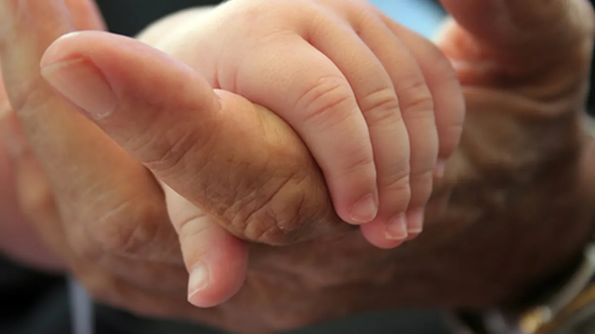 Comodoro busca familias para brindar un hogar a niños, niñas y adolescentes