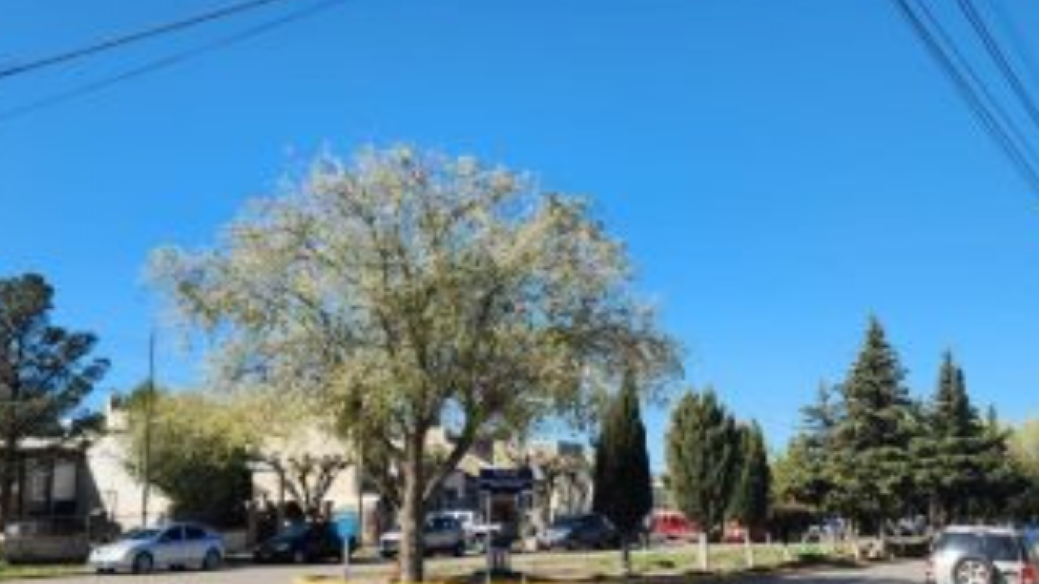 Una joven fue perseguida y acosada por un tipo en plena calle: "Ya no podemos salir a caminar tranquilas"