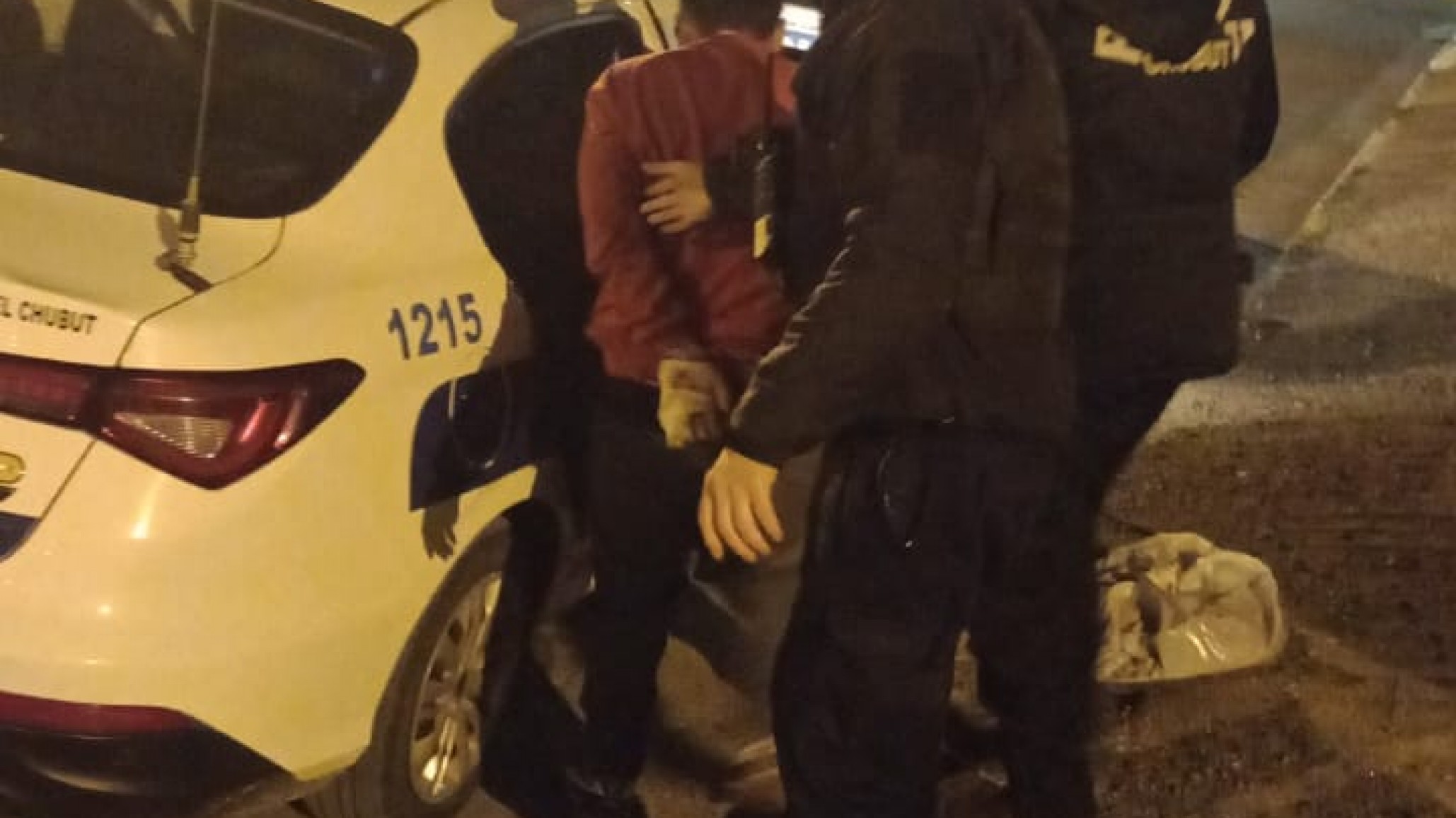 Dos hombres fueron detenidos tras intentar robar un termotanque