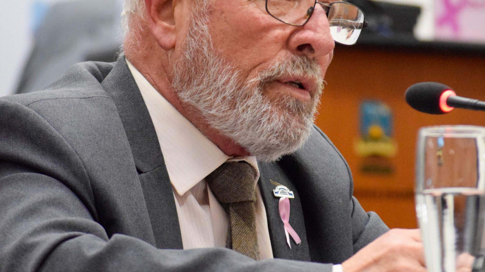 Acalorada discusión por un proyecto de expresión de deseos para crear un hospital materno infantil en Comodoro