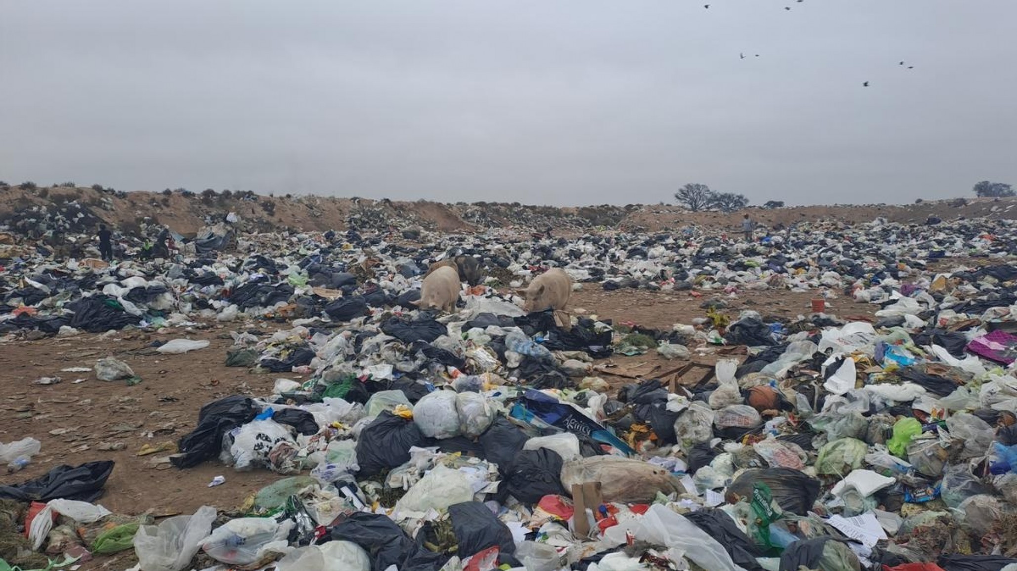 Horror en Corrientes: Encontraron a un bebé muerto en un basural