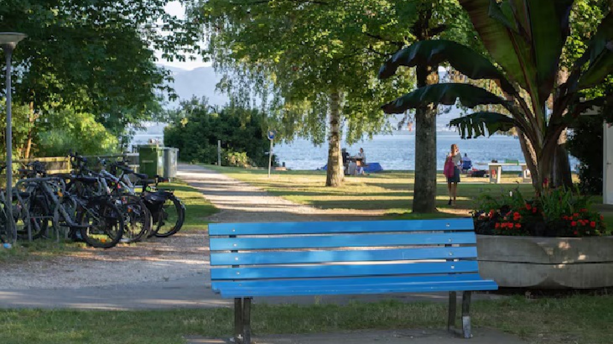 Diputada presentó un proyecto para instalar "Bancos Azules" y concientizar sobre el TEA: ¿De qué se trata?