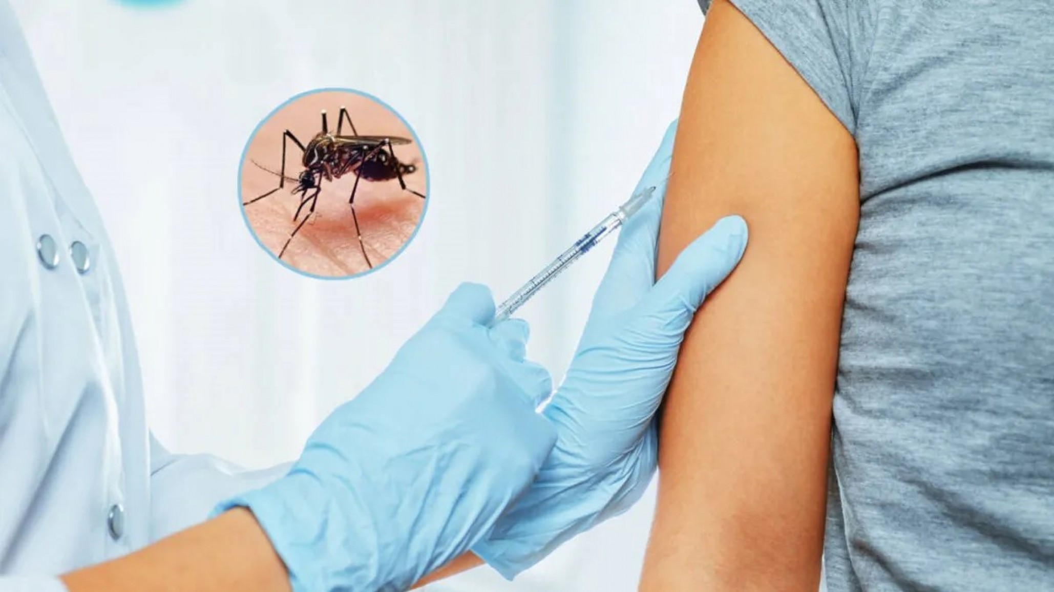 Alerta por estafa: advierten que personas se hacen pasar por el Departamento de vacunación, ofrecen vacunas contra el dengue y roban datos personales