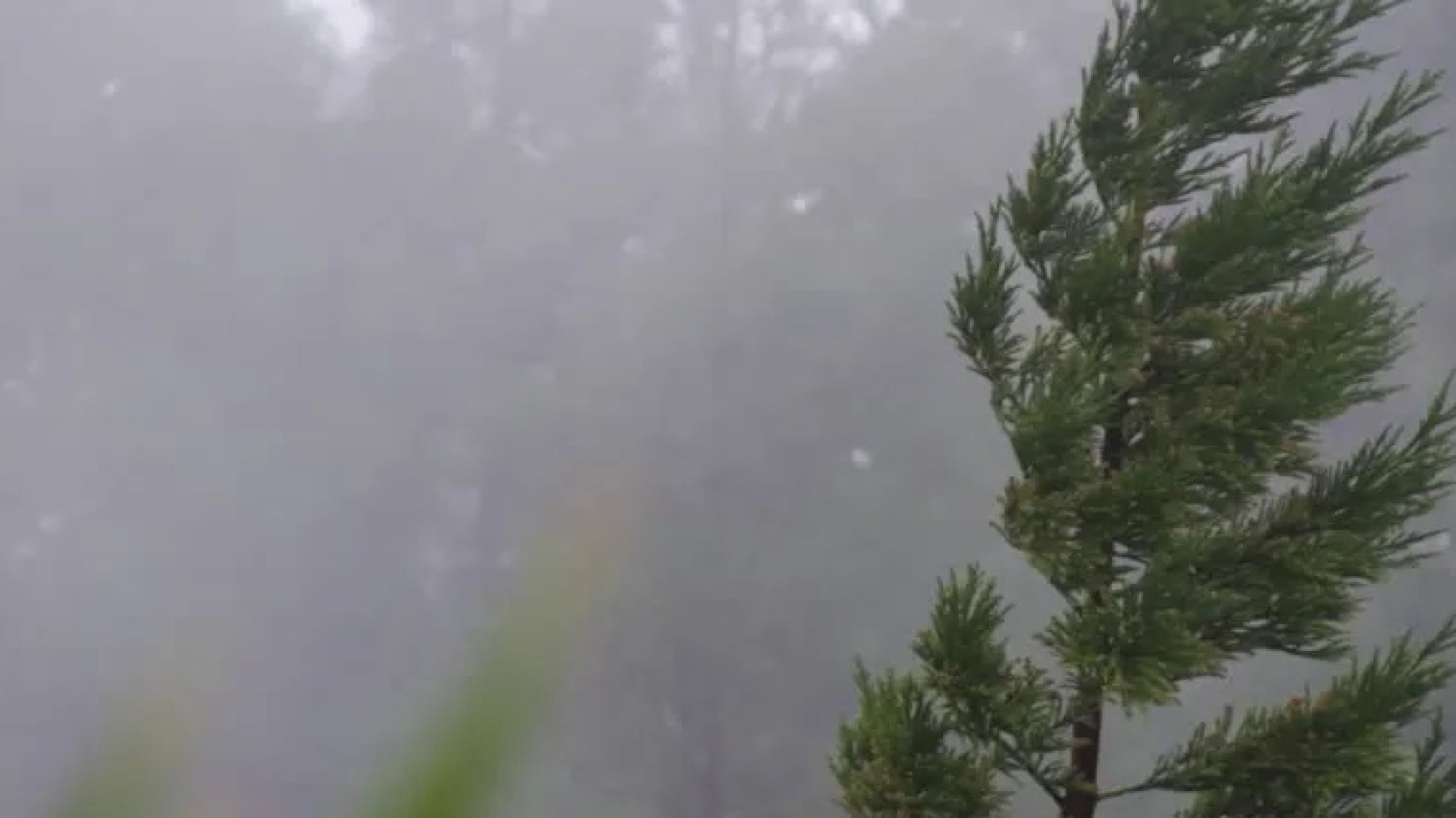 Alerta amarilla por fuertes vientos: el mal tiempo continúa en el sur