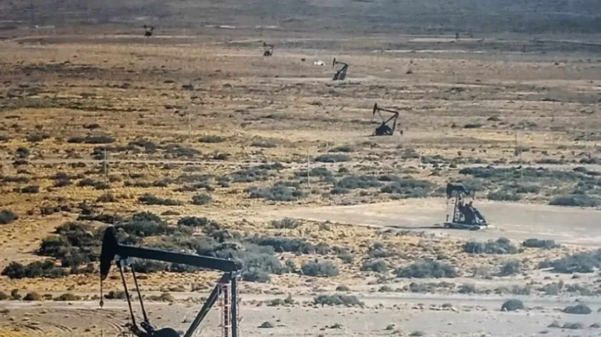 Edda Crespo: "Las industrias extractivas siempre enfrentan reacomodamientos inevitables"