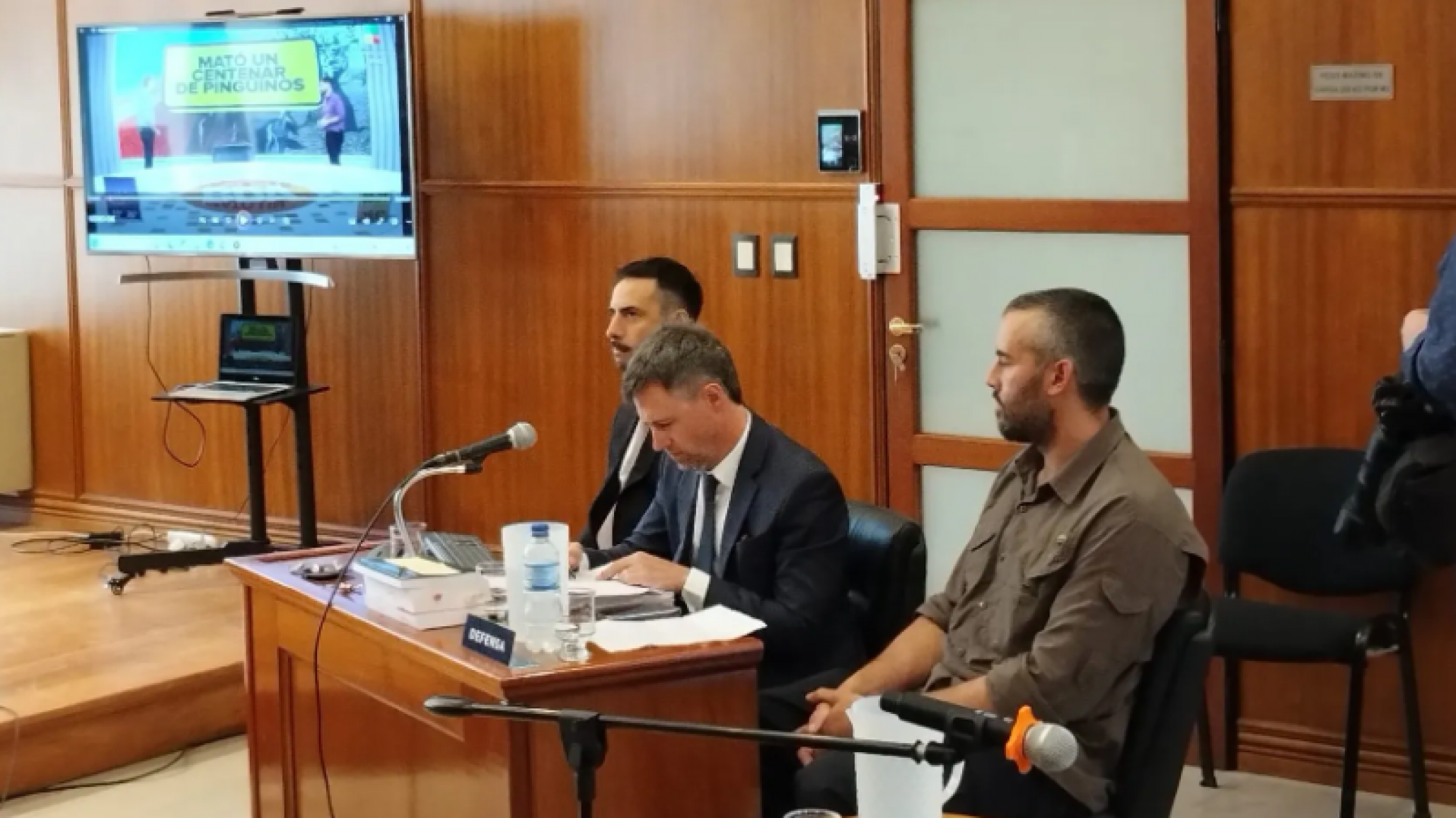 Pidieron anular el juicio por maltrato animal en Punta Tombo: ¿cuándo se conocerá el fallo?