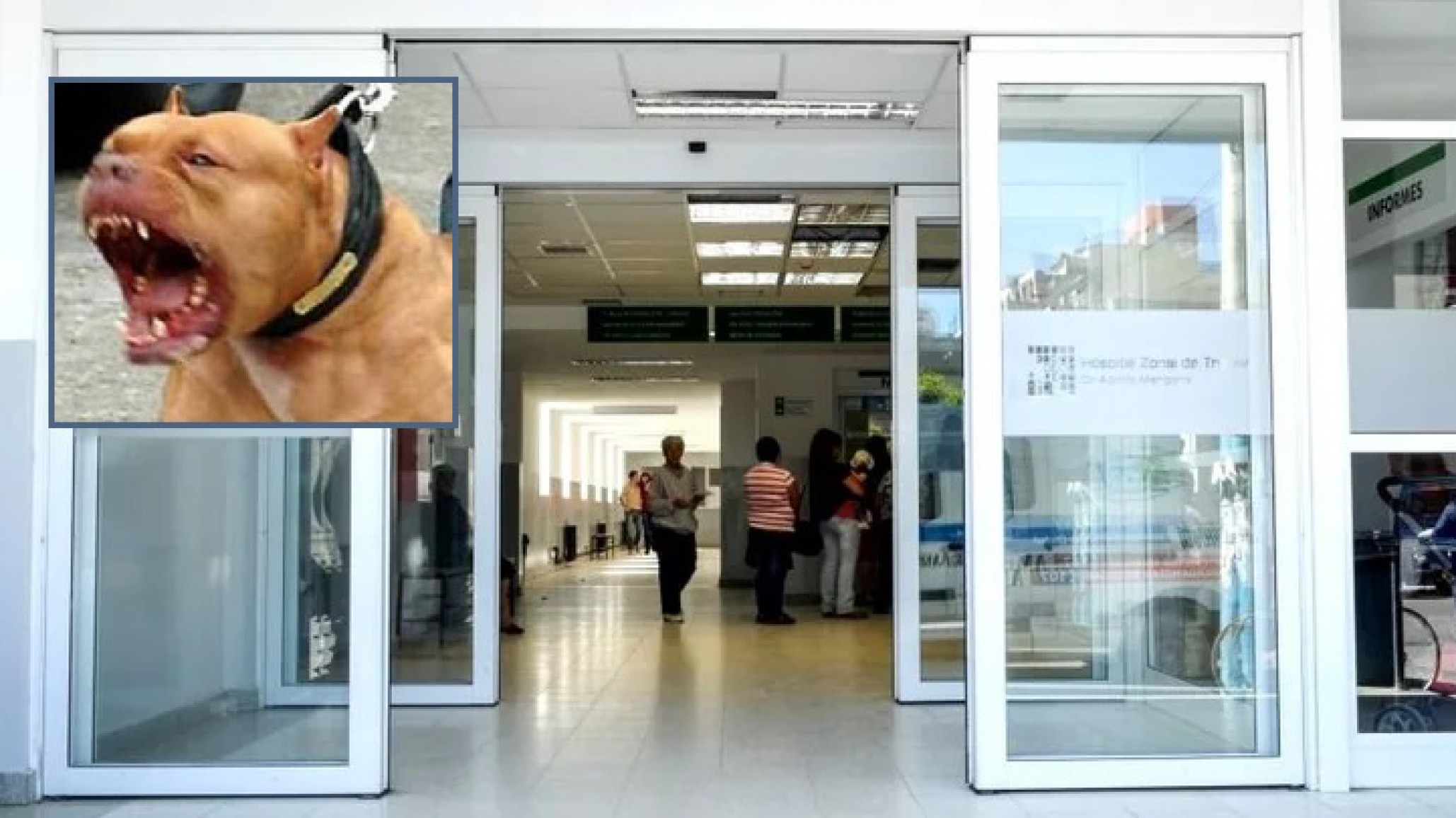 El niño atacado por un pitbull ya puede comer y beber por sí solo