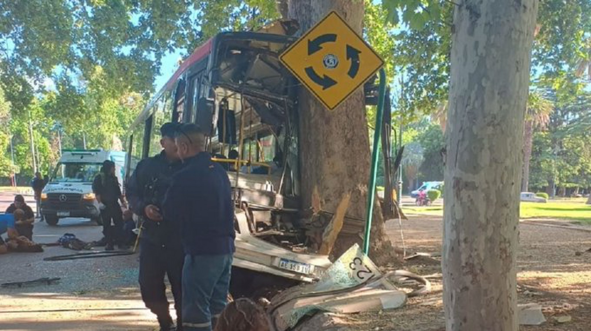 Un colectivo se quedó sin frenos y chocó contra un árbol: el conductor murió y hay 17 heridos