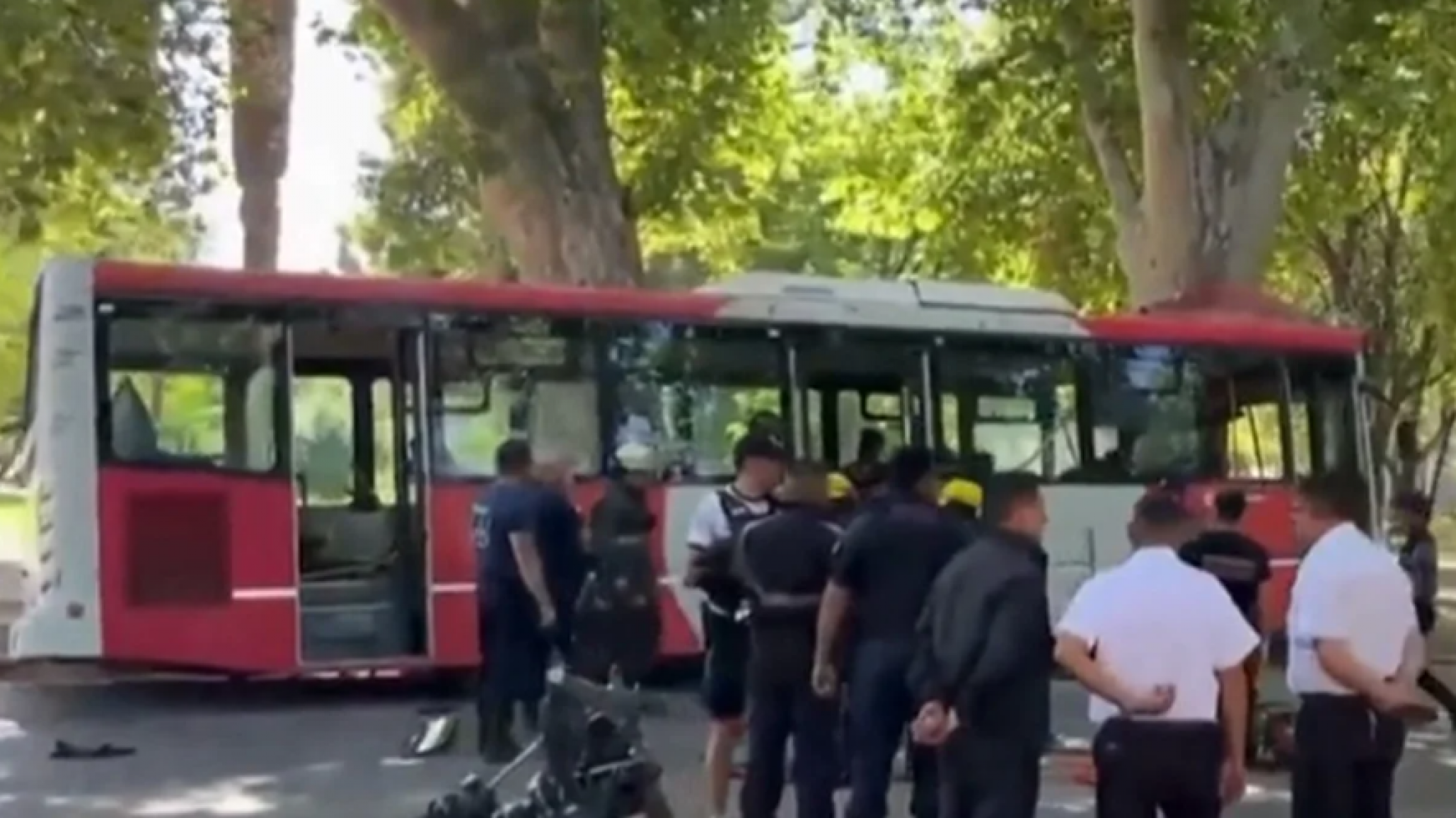 Un colectivo chocó contra un árbol: El chofer falleció y 17 pasajeros resultaron heridos